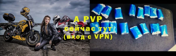 дмт Бородино