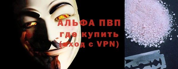 дмт Бородино