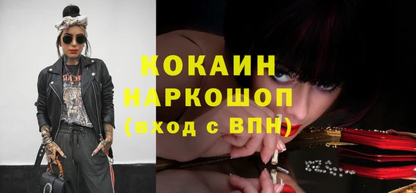 дмт Бородино
