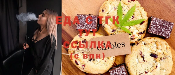 дмт Бородино