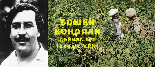дмт Бородино