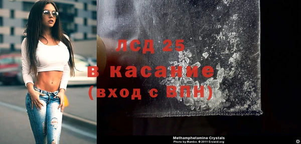 дмт Бородино