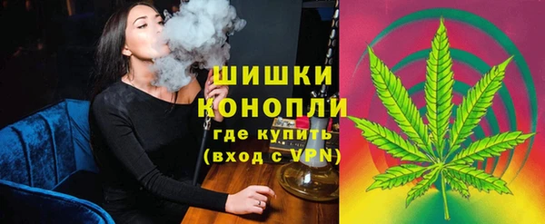 амф Бронницы