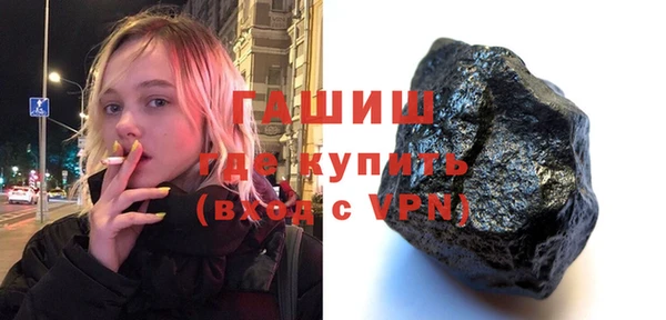 дмт Бородино